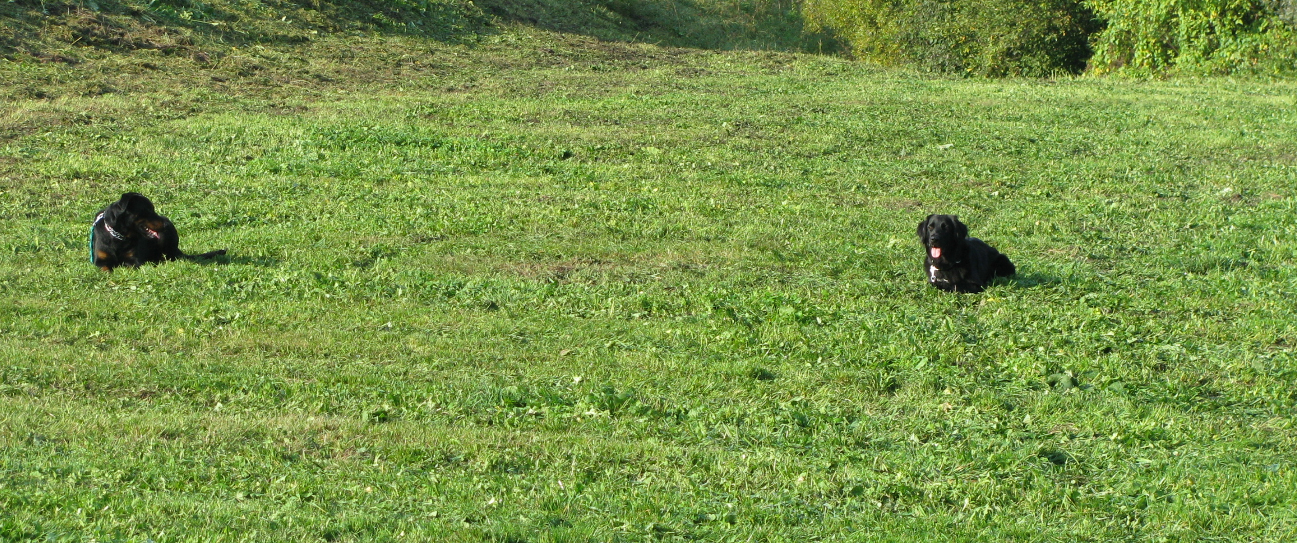 IMG_4038.jpg